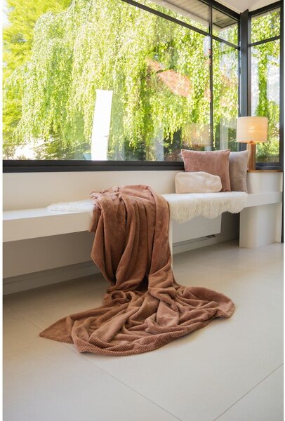 Hnědá deka z mikroplyše 150x200 cm Pippa – Tiseco Home Studio