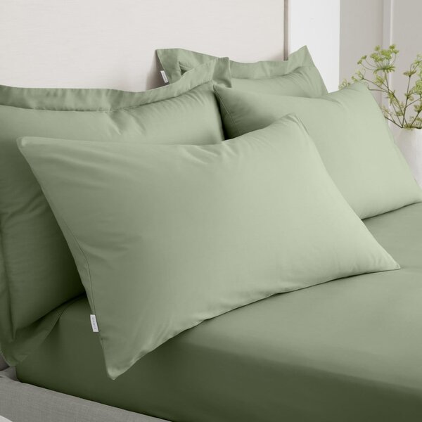 Povlaky na polštáře v sadě 2 ks z bavlněného perkálu 50x75 cm Cotton Percale – Bianca