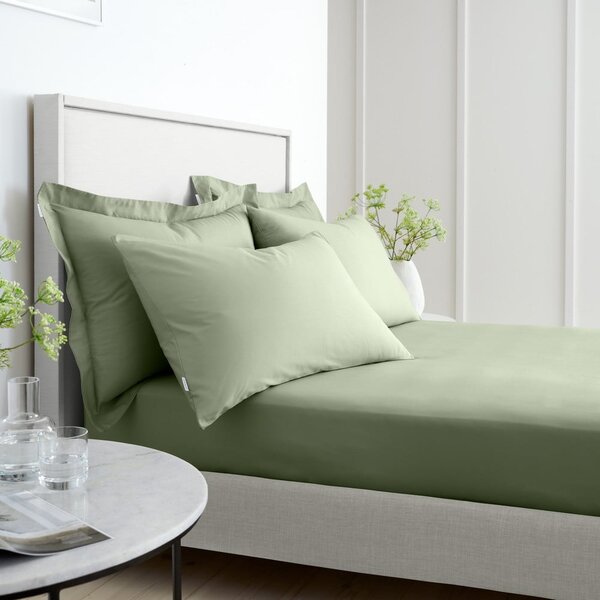 Zelené napínací prostěradlo z bavlněného perkálu 90x190 cm Cotton Percale – Bianca
