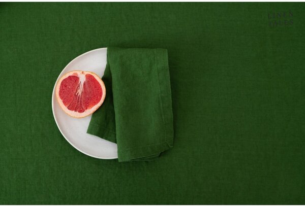 Lněná utěrka 45x65 cm True Green – Linen Tales
