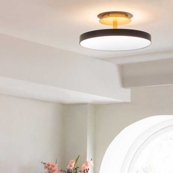 Stropní Lampa UMAGE, Asteria UP PLUS, stmívatelné, Černá, Obývací pokoj, Kov, Design
