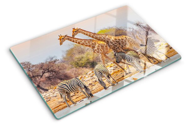 Skleněná krájecí deska Zebra a žirafa v jejich přirozeném prostředí ddk-nr-wm-00005810