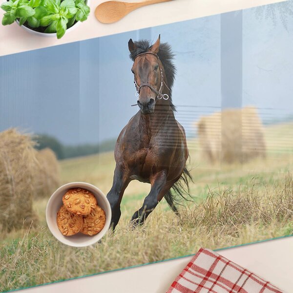 Skleněné krájecí prkénko Kůň na louce ddk-nr-wm-00005811