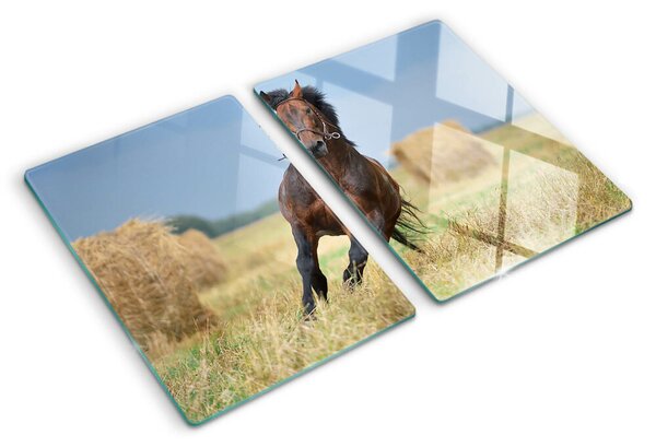 Skleněné krájecí prkénko Kůň na louce ddk-nr-wm-00005811
