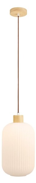 Bílé závěsné svítidlo se skleněným stínidlem ø 20 cm Argalo – House Nordic