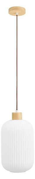 Bílé závěsné svítidlo se skleněným stínidlem ø 20 cm Argalo – House Nordic