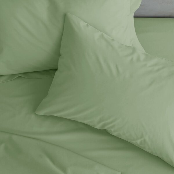 Perkálové povlaky na polštáře v sadě 2 ks 50x75 cm Easy Iron Percale – Catherine Lansfield