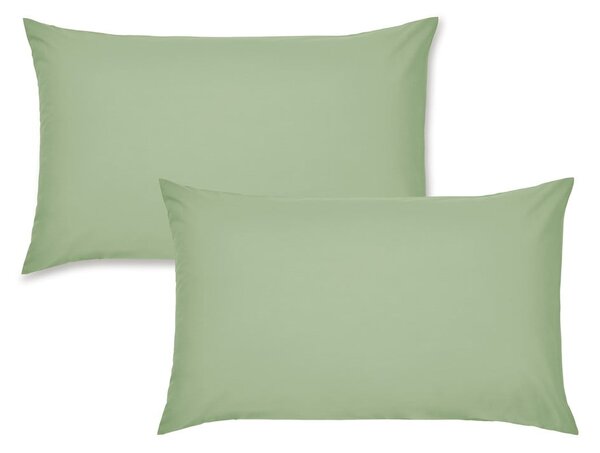 Perkálové povlaky na polštáře v sadě 2 ks 50x75 cm Easy Iron Percale – Catherine Lansfield