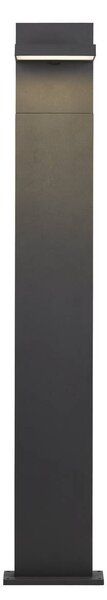 LA 1002992 ABRIDOR POLE 100 Outdoor, stojací LED svítidlo, IP55, antracitové, 3000/4000K - BIG WHITE (SLV)