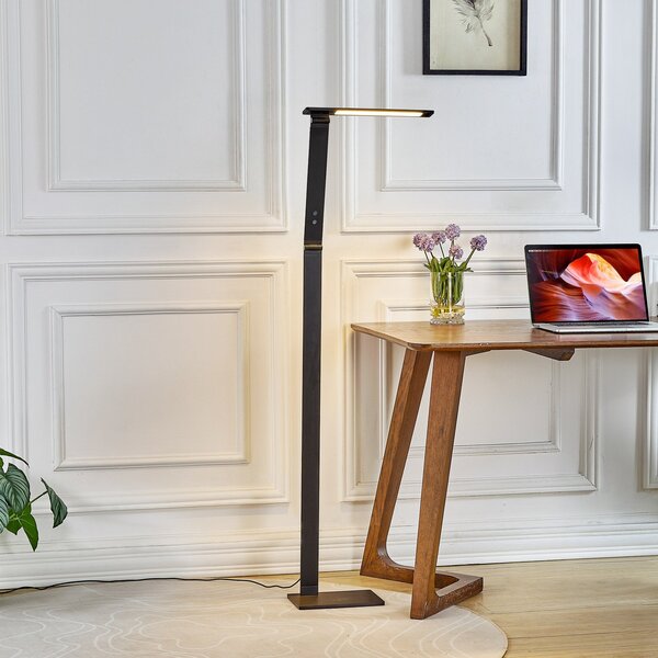 Stojací Lampa Lucande, Salome, stmívatelné, Černá, Pracovna, Hliník, Moderní