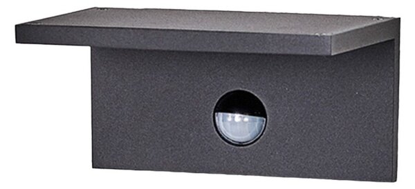 Darina LED Venkovní Nástěnné Svítidlo s Sensor Graphite