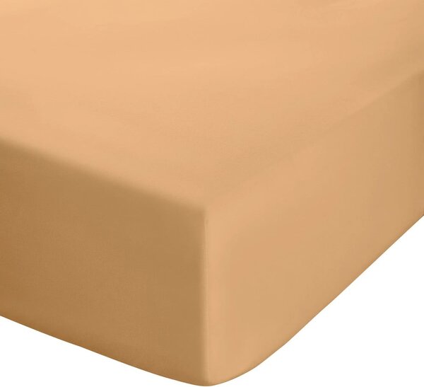Žluté/oranžové napínací perkálové prostěradlo 90x190 cm Easy Iron Percale – Catherine Lansfield