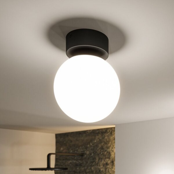 Stropní Lampa Paulmann, Gove, Černá, Obývací pokoj, Sklo, Moderní