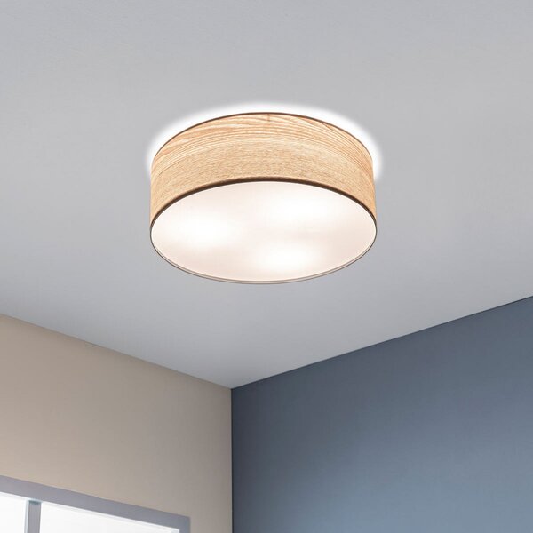 Stropní Lampa Paulmann, Liska, stmívatelné, Dřevo, Obývací pokoj, Dřevo, Moderní