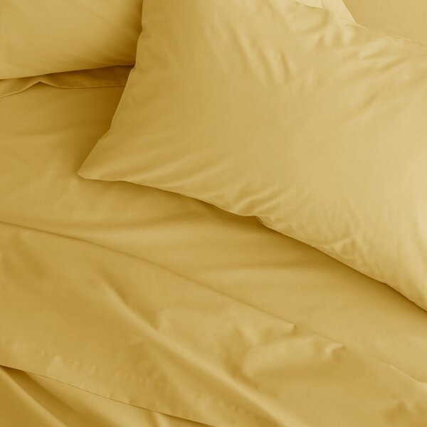 Žluté napínací perkálové prostěradlo 90x190 cm Easy Iron Percale – Catherine Lansfield