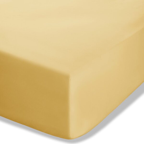 Žluté napínací perkálové prostěradlo 90x190 cm Easy Iron Percale – Catherine Lansfield