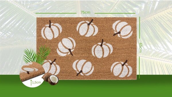 Rohožka 45x75 cm Mix Mats – Hanse Home