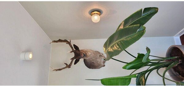 Stropní Lampa ANTIDARK, stmívatelné, Bílá, Obývací pokoj, Hliník