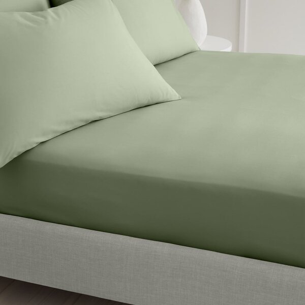 Zelené napínací prostěradlo z bavlněného perkálu 90x190 cm Cotton Percale – Bianca