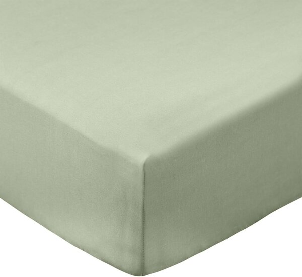 Zelené napínací prostěradlo z bavlněného perkálu 90x190 cm Cotton Percale – Bianca