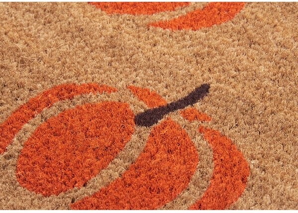 Rohožka 45x75 cm Mix Mats – Hanse Home