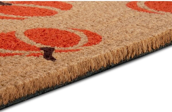 Rohožka 45x75 cm Mix Mats – Hanse Home