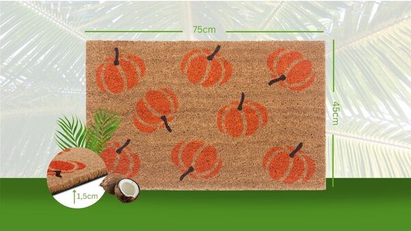 Rohožka 45x75 cm Mix Mats – Hanse Home