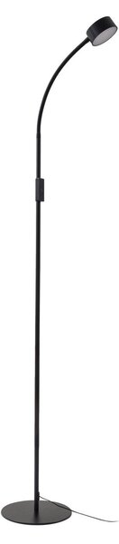 Stojací Lampa Lindby, Maori, stmívatelné, Černá, Pracovna, Kov, Moderní