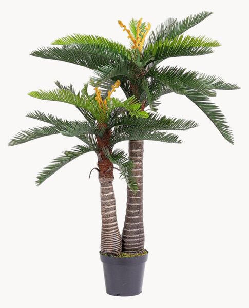 Exteriérová umělá rostlina Cycas
