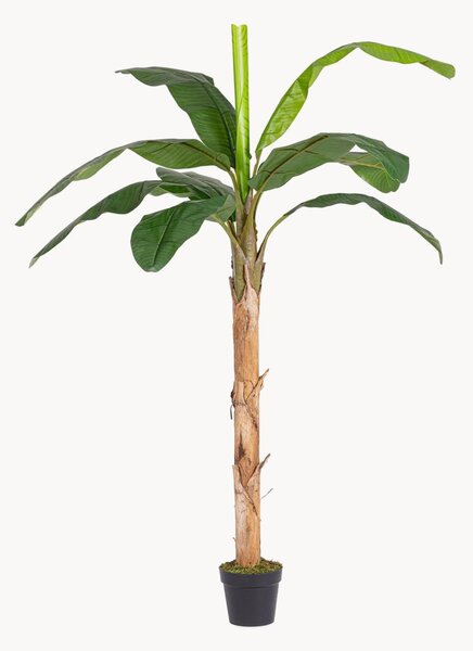 Exteriérová umělá rostlina Banana