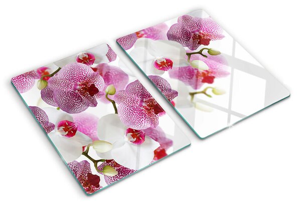 Krájecí prkénko skleněné Orchideje v pozadí okna ddk-nr-wm-00006221