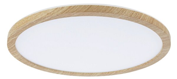 Stropní Lampa Paulmann, Atria Shine, Dřevo, Koupelna, Plast, Moderní