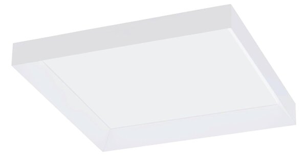 STROPNÍ LED SVÍTIDLO, 45/45/4,5 cm Eglo - Online Only svítidla, Online Only