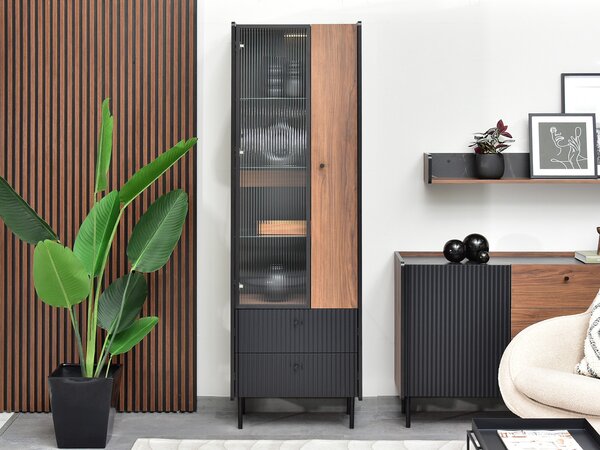 Vitrína Protegidas P03 (černá). Akce -17%