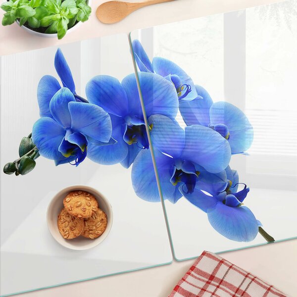 Skleněná deska do kuchyně Modré orchideje ddk-nr-wm-00006546