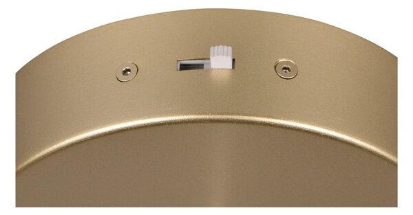 LED závěsné svítidlo ve zlaté barvě ø 30 cm Cala – Trio Select