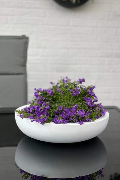 Okrasná miska PLANA, sklolaminát, 9xØ34 cm, bílá