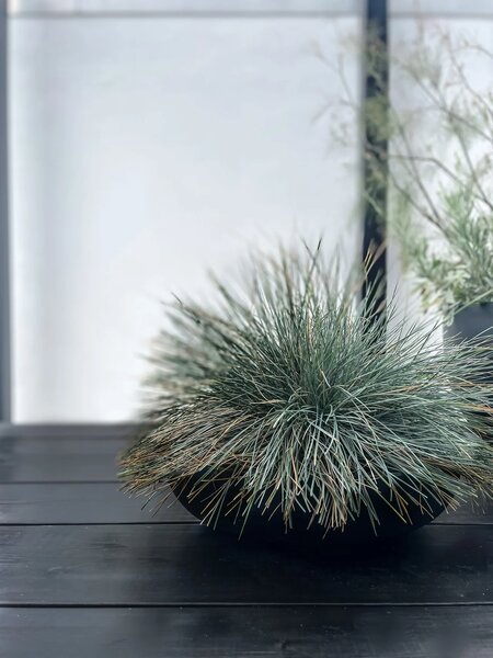 Okrasná miska PLANA, sklolaminát, 9xØ34 cm, antracit