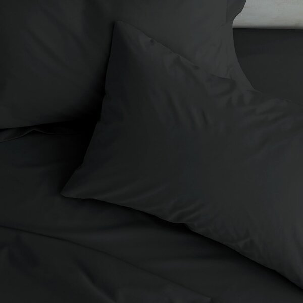 Perkálové povlaky na polštáře v sadě 2 ks 50x75 cm Easy Iron Percale – Catherine Lansfield