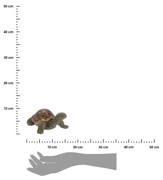 Zahradní figurka z polistone Turtles, sada 2ks, 10x12,5 cm, vícebarevná