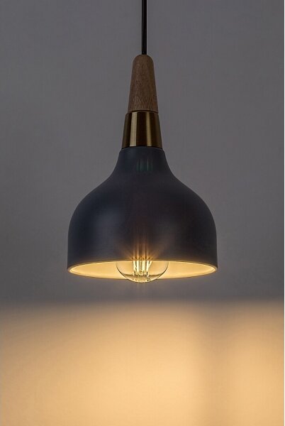 Rabalux 72135 - Lustr na lanku DRUSILLA 1xE27/40W/230V