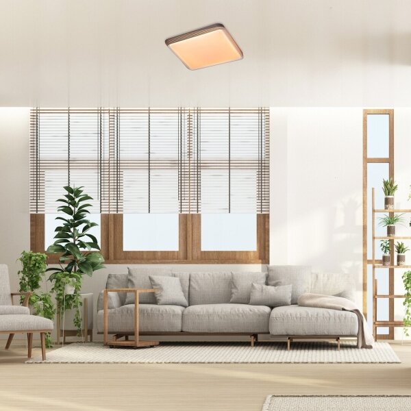 Rabalux 71166 - LED Stropní svítidlo DRUZOR LED/40W/230V 3000K