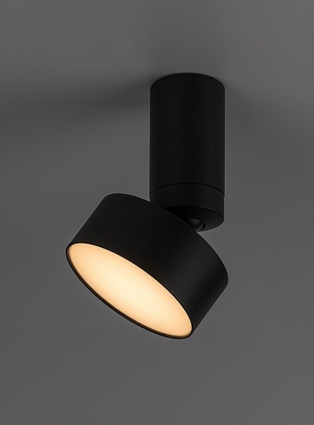 Rabalux 71321 - LED Stropní svítidlo OVIDIA LED/10W/230V 3000K černá