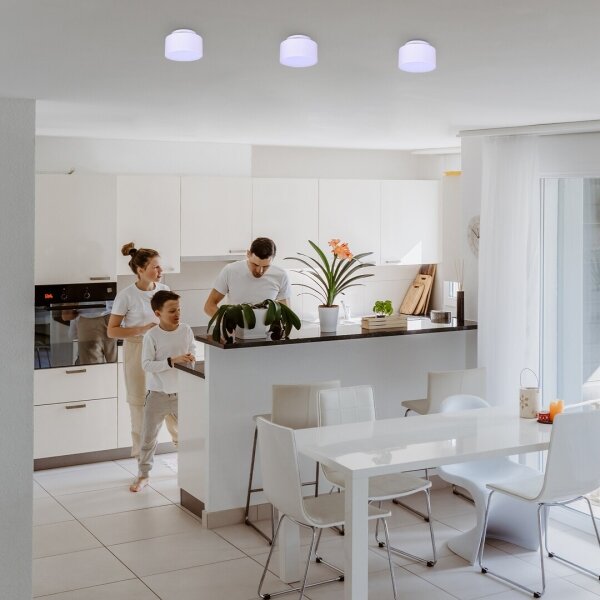 Rabalux 71325 - LED Stropní svítidlo OVIDIA LED/24W/230V 3000K bílá