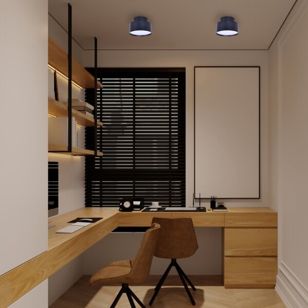 Rabalux 71320 - LED Stropní svítidlo OVIDIA LED/24W/230V 3000K černá