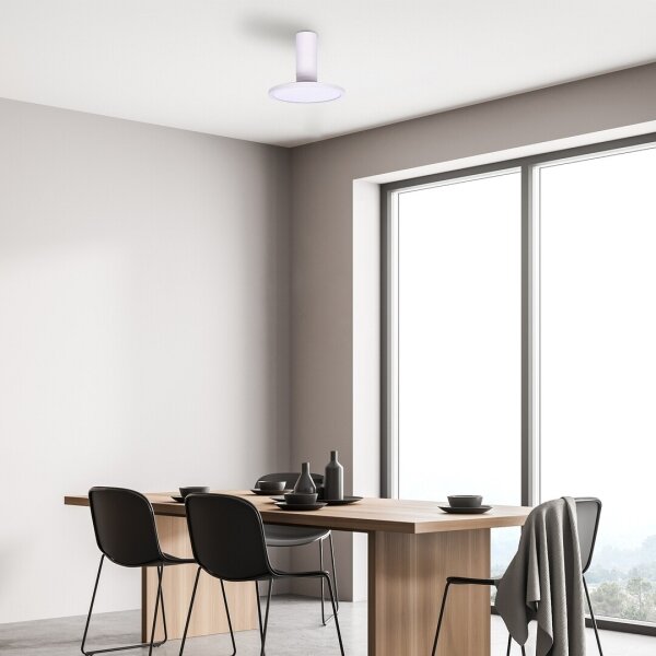 Rabalux 71328 - LED Stropní svítidlo OVIDIA LED/20W/230V 3000K bílá