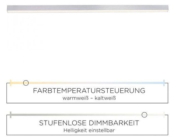 Paul Neuhaus Stropní LED svítidlo PURE-LINES, 18W, d. 110 cm, CCT 2700-5000K Barva: Antracit