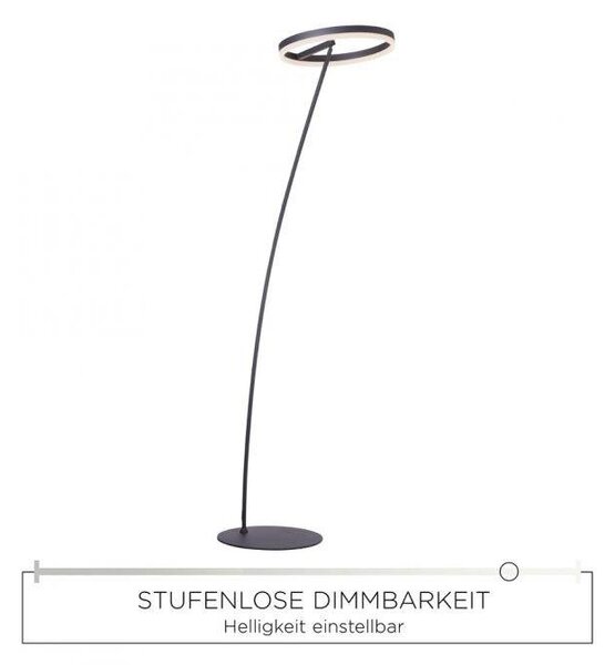 Paul Neuhaus Stojací LED lampa TITUS 23,5W, v. 215 cm, 3000K