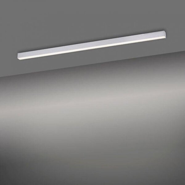 Paul Neuhaus Stropní LED svítidlo PURE-LINES, 18W, d. 110 cm, CCT 2700-5000K Barva: Antracit