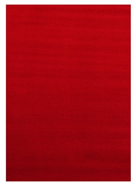 Ayyildiz, Kusový koberec Sky 5400 Red, 60x110, červená, obývací pokoj